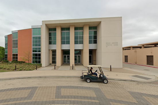 Family Fun Unfolds as Dallas Opens "City Hall at Fair Park" To Engage and Educate Residents