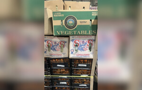 Feds Seize Over 3,600 Pounds of Meth Disguised Among Vegetables at Otay Mesa; Truck Driver Detained
