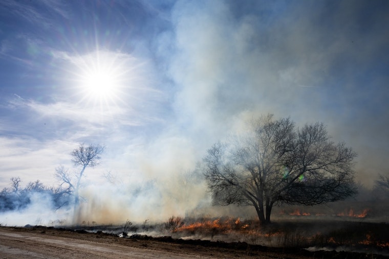 Firefighters Claim Victory Over Austin's Largest Wildfire as Texas Battles Back from Record Blaze