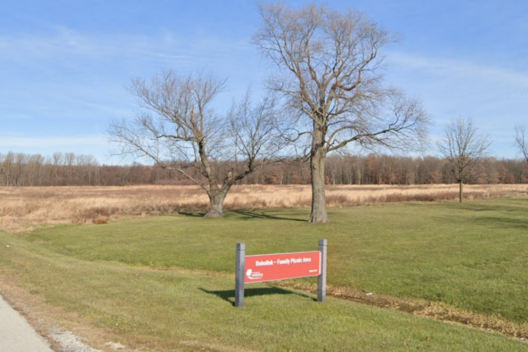 Firefighters Tame Weekend Wildfire at Tinley Park's Bobolink Meadow Nature Preserve