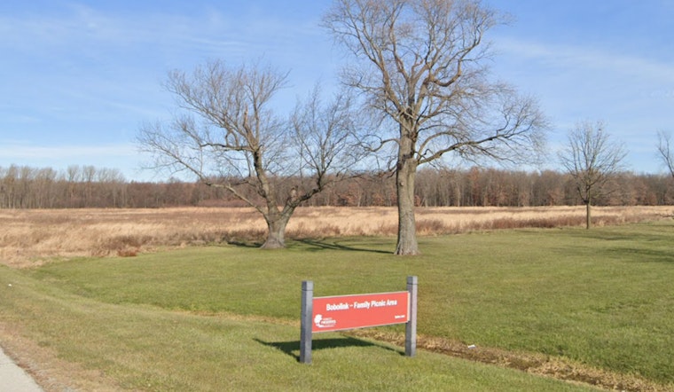 Firefighters Tame Weekend Wildfire at Tinley Park's Bobolink Meadow Nature Preserve