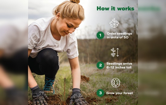 Fort Lauderdale Partners with Arbor Day Foundation to Offer Residents Free Trees to Boost City Canopy