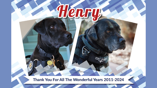 Fort Worth Bids Farewell to Famed Furry Advocate Henry After a Decade of Heartwarming Service
