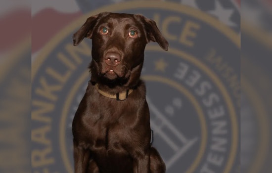 Franklin Police Department Welcomes Koby, New Narcotics Detection Canine, to Combat Drug Trafficking
