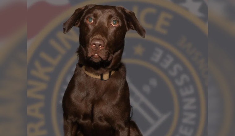 Franklin Police Department Welcomes Koby, New Narcotics Detection Canine, to Combat Drug Trafficking