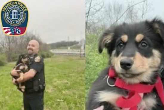 Franklin Police Rescue Lost Puppy from Peril Near I-65, Highlighting Officers' Compassion