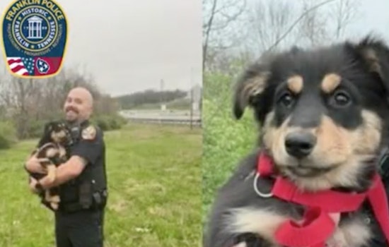 Franklin Police Rescue Lost Puppy from Peril Near I-65, Highlighting Officers' Compassion