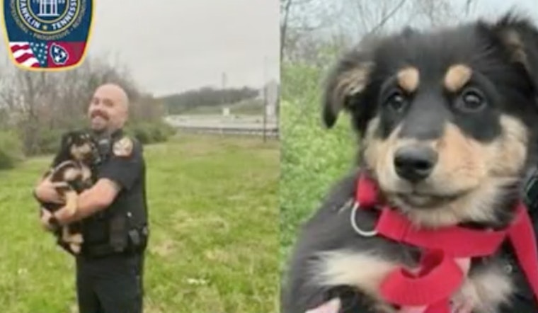 Franklin Police Rescue Lost Puppy from Peril Near I-65, Highlighting Officers' Compassion