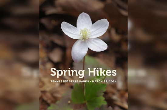 Free Guided Hikes in Tennessee State Parks Beckon Outdoor Aficionados This Saturday