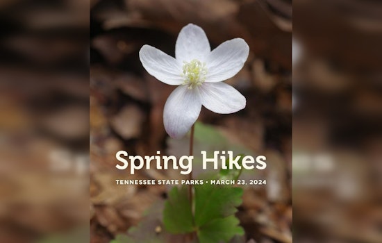 Free Guided Hikes in Tennessee State Parks Beckon Outdoor Aficionados This Saturday