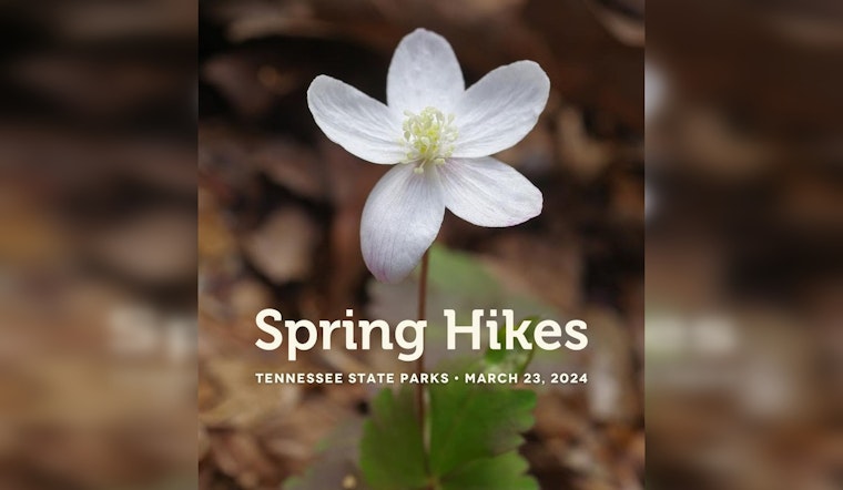 Free Guided Hikes in Tennessee State Parks Beckon Outdoor Aficionados This Saturday