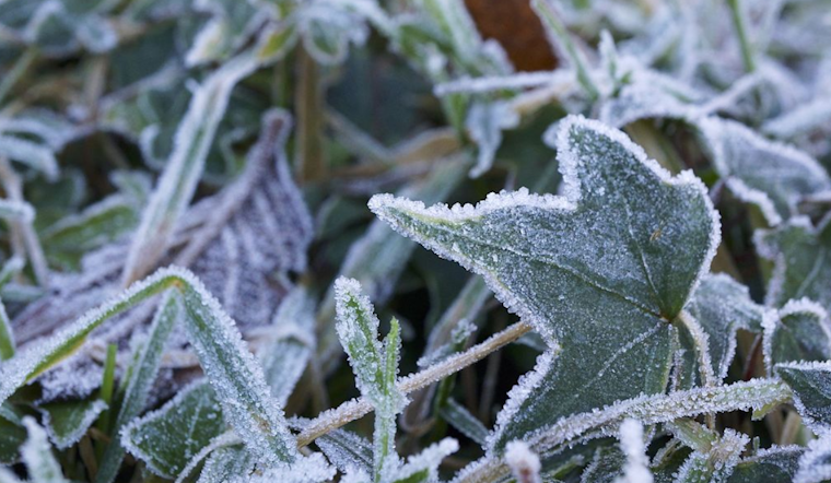 Frost Advisory Extended in Memphis Area, Low Temperatures Threaten Vegetation