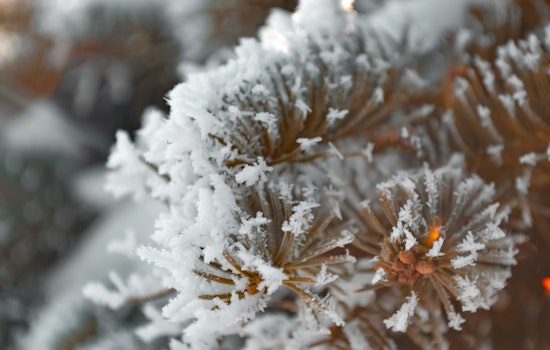 Frost Advisory in East Arkansas, Southeast Missouri, West Tennessee Prompts Plant Protection Warning