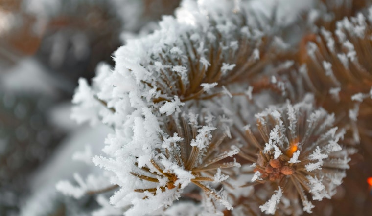 Frost Advisory in East Arkansas, Southeast Missouri, West Tennessee Prompts Plant Protection Warning
