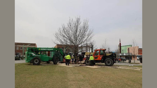 Garland, Texas, Welcomes Majestic Shumard Red Oak to Downtown Square in Urban Greening Effort