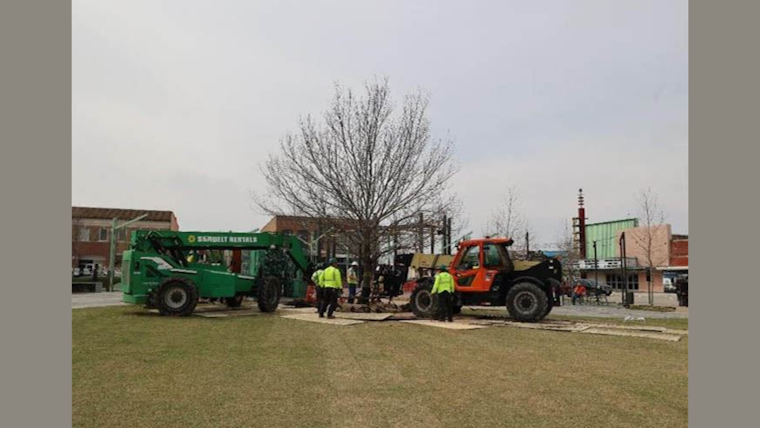 Garland, Texas, Welcomes Majestic Shumard Red Oak to Downtown Square in Urban Greening Effort