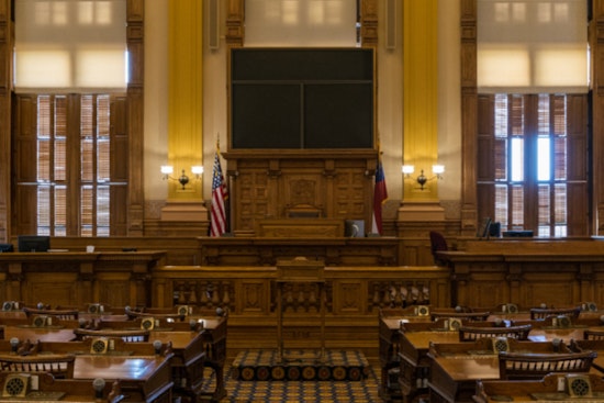 Georgia Bill Targeting American Library Association Fails on Final Legislative Day