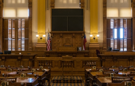 Georgia Bill Targeting American Library Association Fails on Final Legislative Day