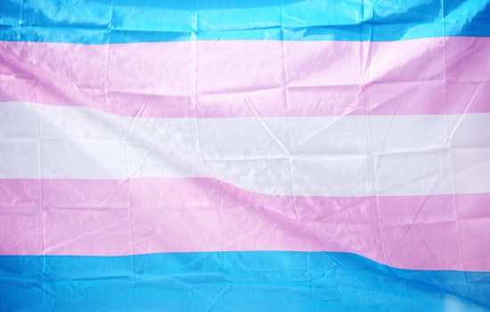 Georgia Senate Republicans Surprise Opponents by Proposing Ban on Transgender Puberty Blockers in Overdose Drug Bill