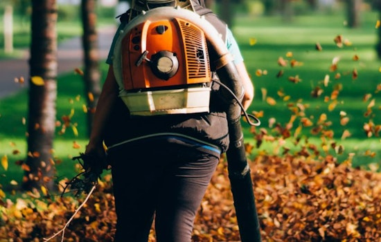 Glendale Implements Gas-Powered Leaf Blower Ban in Eco-Friendly Push