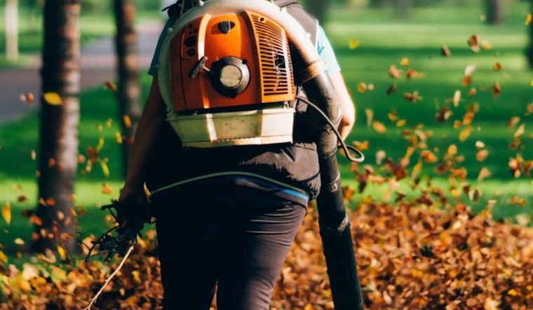 Glendale Implements Gas-Powered Leaf Blower Ban in Eco-Friendly Push