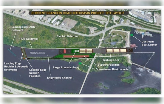 Great Lakes at Risk as Illinois and Michigan Face Funding Standoff for $1.14 Billion Carp Barrier Project