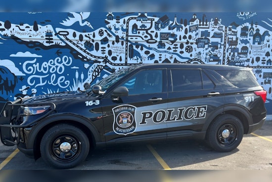 Grosse Ile Voters Reject Tax Increase for Police Funding Amid Wayne County Millage Approvals