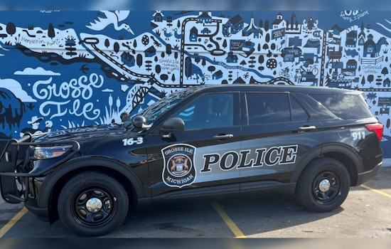 Grosse Ile Voters Reject Tax Increase for Police Funding Amid Wayne County Millage Approvals