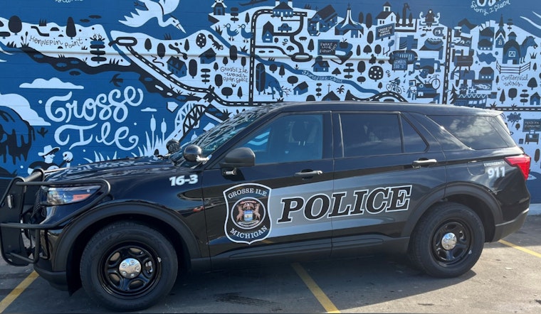 Grosse Ile Voters Reject Tax Increase for Police Funding Amid Wayne County Millage Approvals