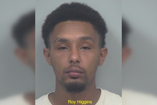 Gwinnett County Man Arrested for String of Auto Thefts in Lawrenceville and Duluth