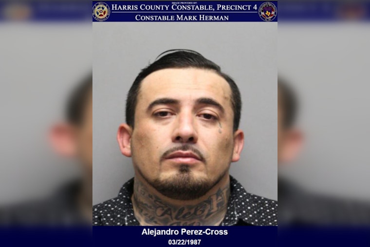 Harris County Deputies Arrest Man with Felony Warrant During Traffic Stop Drama