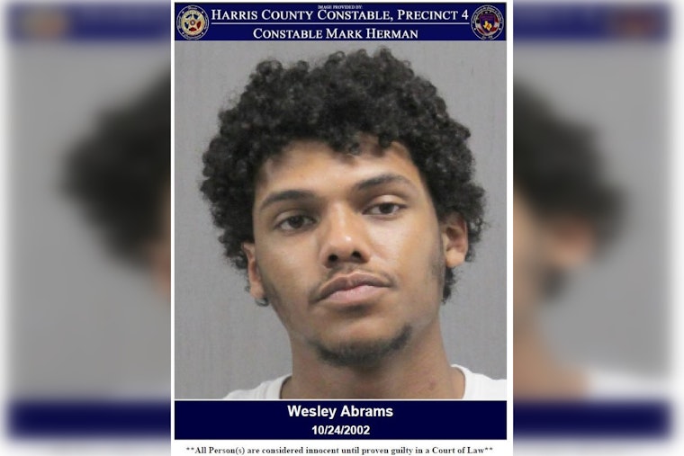 Harris County Deputies Arrest Man with High BAC in Houston Area
