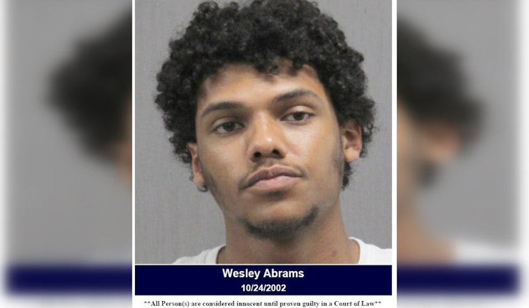Harris County Deputies Arrest Man with High BAC in Houston Area
