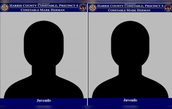 Harris County Law Enforcement Apprehends Two Juveniles Accused of Vehicle Theft After Foot Chase