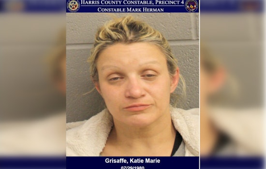 Harris County Traffic Stop Leads to Methamphetamine Bust, Woman Charged with Possession
