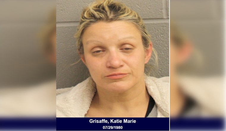 Harris County Traffic Stop Leads to Methamphetamine Bust, Woman Charged with Possession