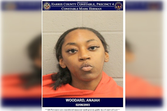 Harris County Woman Charged with Assault on Officer During Traffic Stop on Sam Houston Parkway