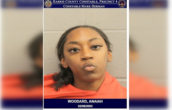 Harris County Woman Charged with Assault on Officer During Traffic Stop on Sam Houston Parkway