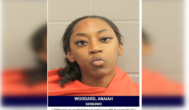 Harris County Woman Charged with Assault on Officer During Traffic Stop on Sam Houston Parkway