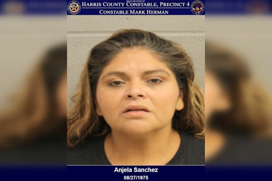 Harris County Woman Charged with Tampering Government Document Over Altered Vehicle Tag