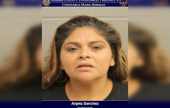 Harris County Woman Charged with Tampering Government Document Over Altered Vehicle Tag