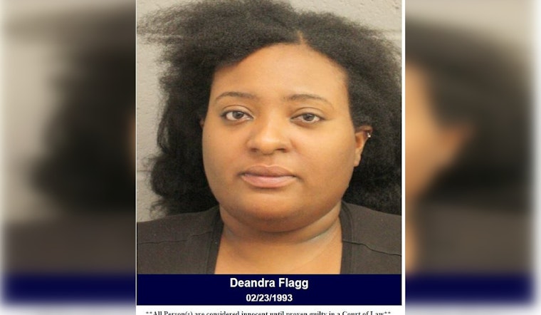 Harris County Woman Charged with Terroristic Threat and Criminal Mischief After Disturbance