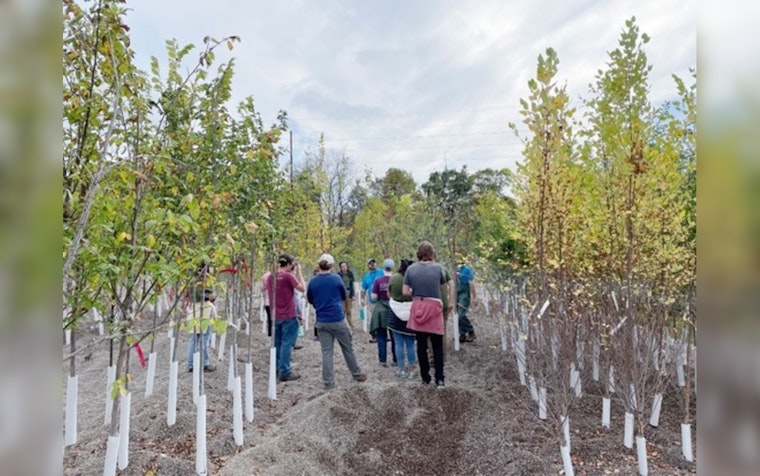 Hennepin County Sets Roots for Greener Future with $10 Million Forestry Grant