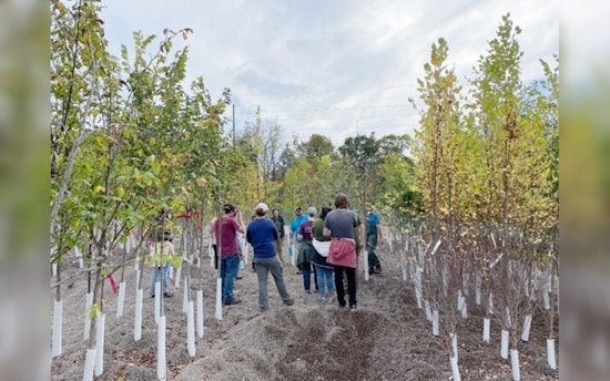 Hennepin County Sets Roots for Greener Future with $10 Million Forestry Grant