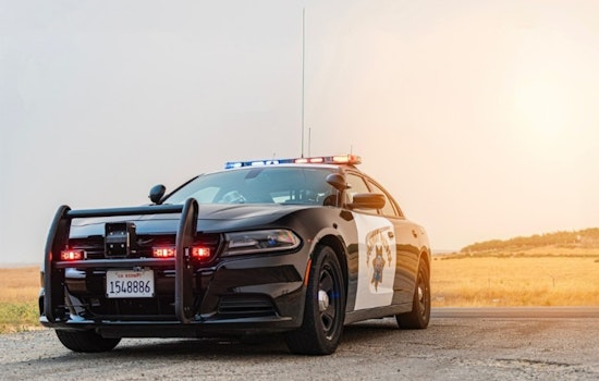 High-Speed Pursuit Culminates in Woman Driving into Ocean Near Venice Beach, Faces Evading Charges and Animal Cruelty