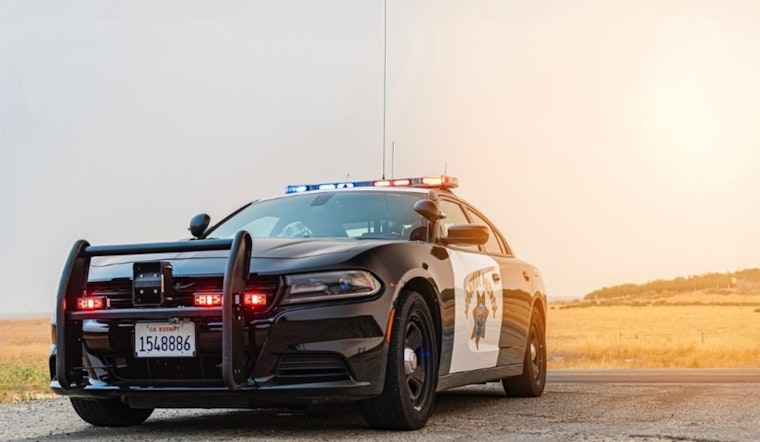 High-Speed Pursuit Culminates in Woman Driving into Ocean Near Venice Beach, Faces Evading Charges and Animal Cruelty