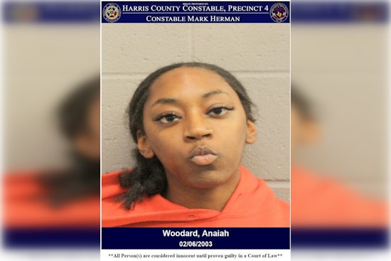 Houston Area Driver Charged With Assault on Peace Officer Following Traffic Stop Escalation
