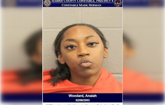 Houston Area Driver Charged With Assault on Peace Officer Following Traffic Stop Escalation