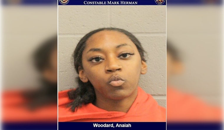 Houston Area Driver Charged With Assault on Peace Officer Following Traffic Stop Escalation
