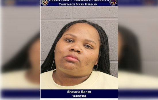Houston Authorities Arrest Woman Suspected of $373 Theft at Houston Premium Outlets